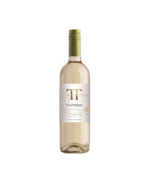 Vinho-tantehue-sauvignon-blanc-2020-branco-chile-750ml