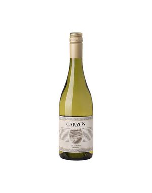 Vinho-garzon-reserva-albarino-2019-branco-uruguai-750ml