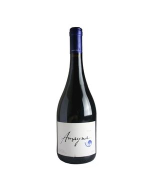 Vinho-amayna-syrah-2016-tinto-chile-750ml