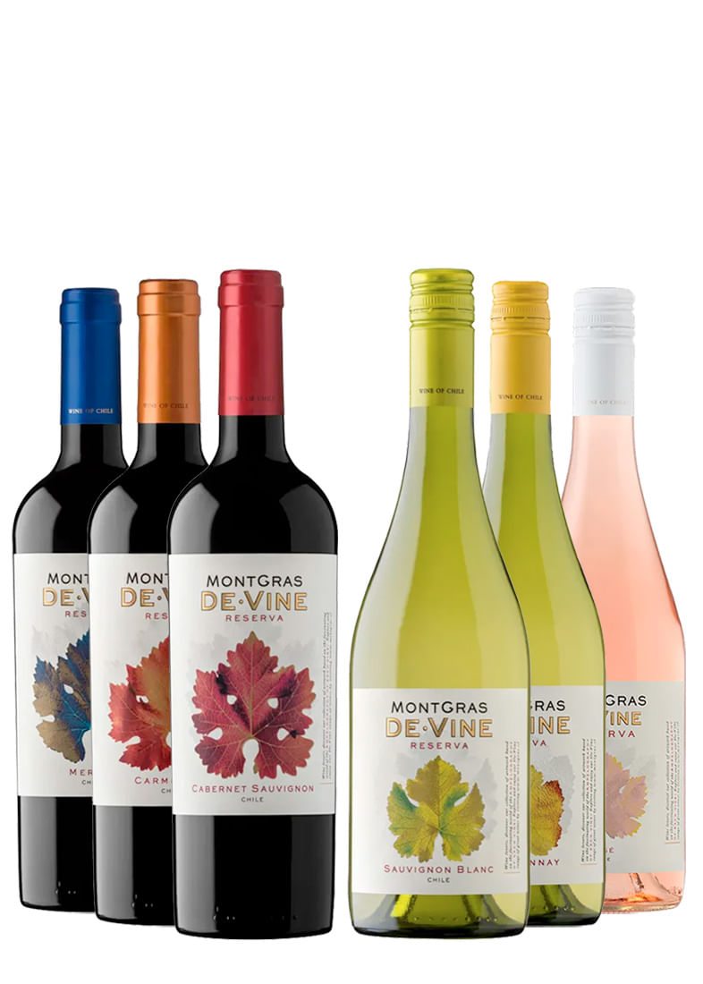 Kit Montgras Reserva de Vine (Cabernet + Carménère + Merlot + Chardonnay + Sauvignon + Rosé)