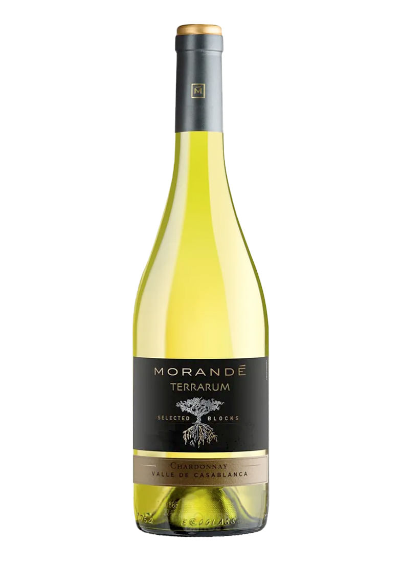 Vinho Morandé Terrarum Selected Block Chardonnay 2021 Branco Chile 750ml